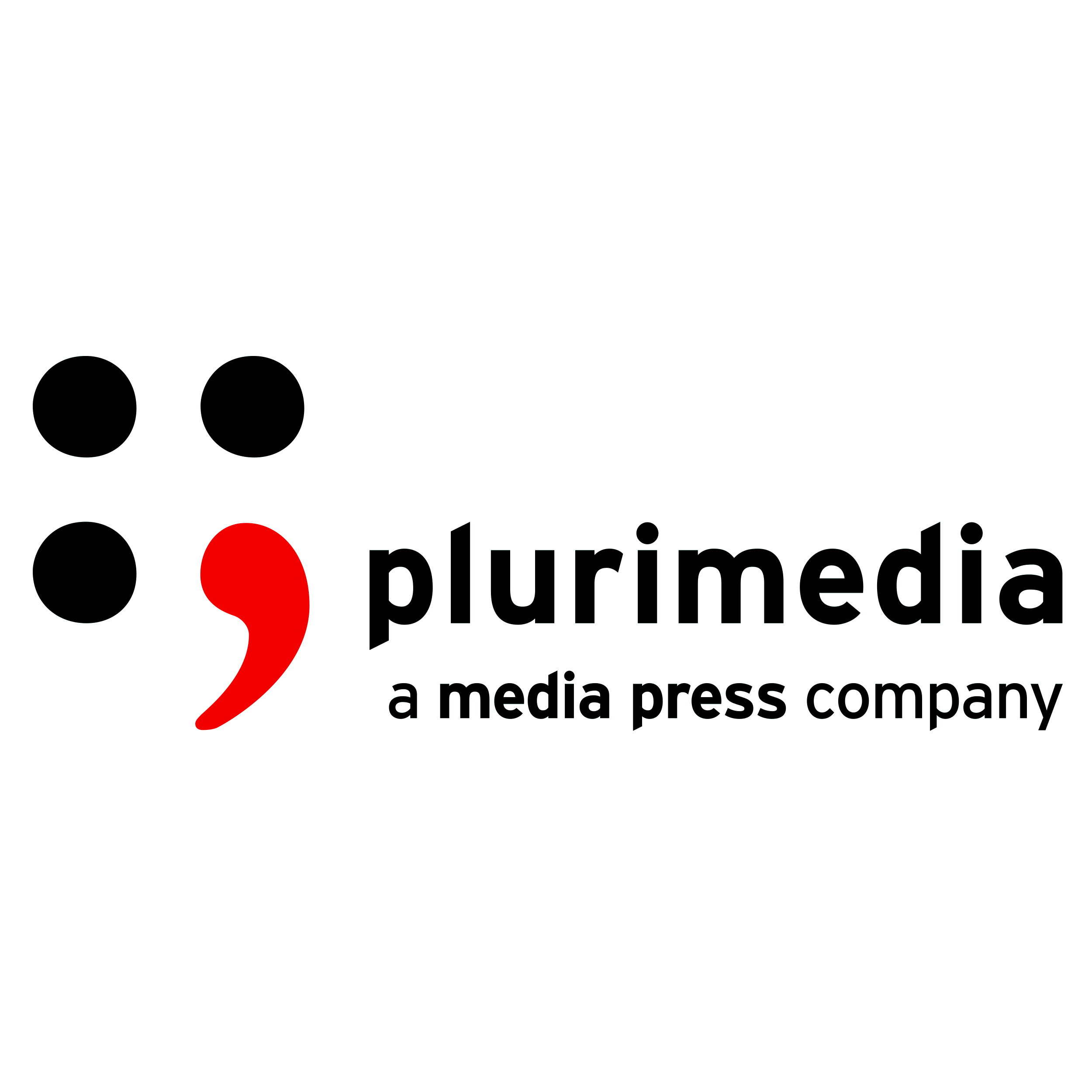 Plurimedia Logo
